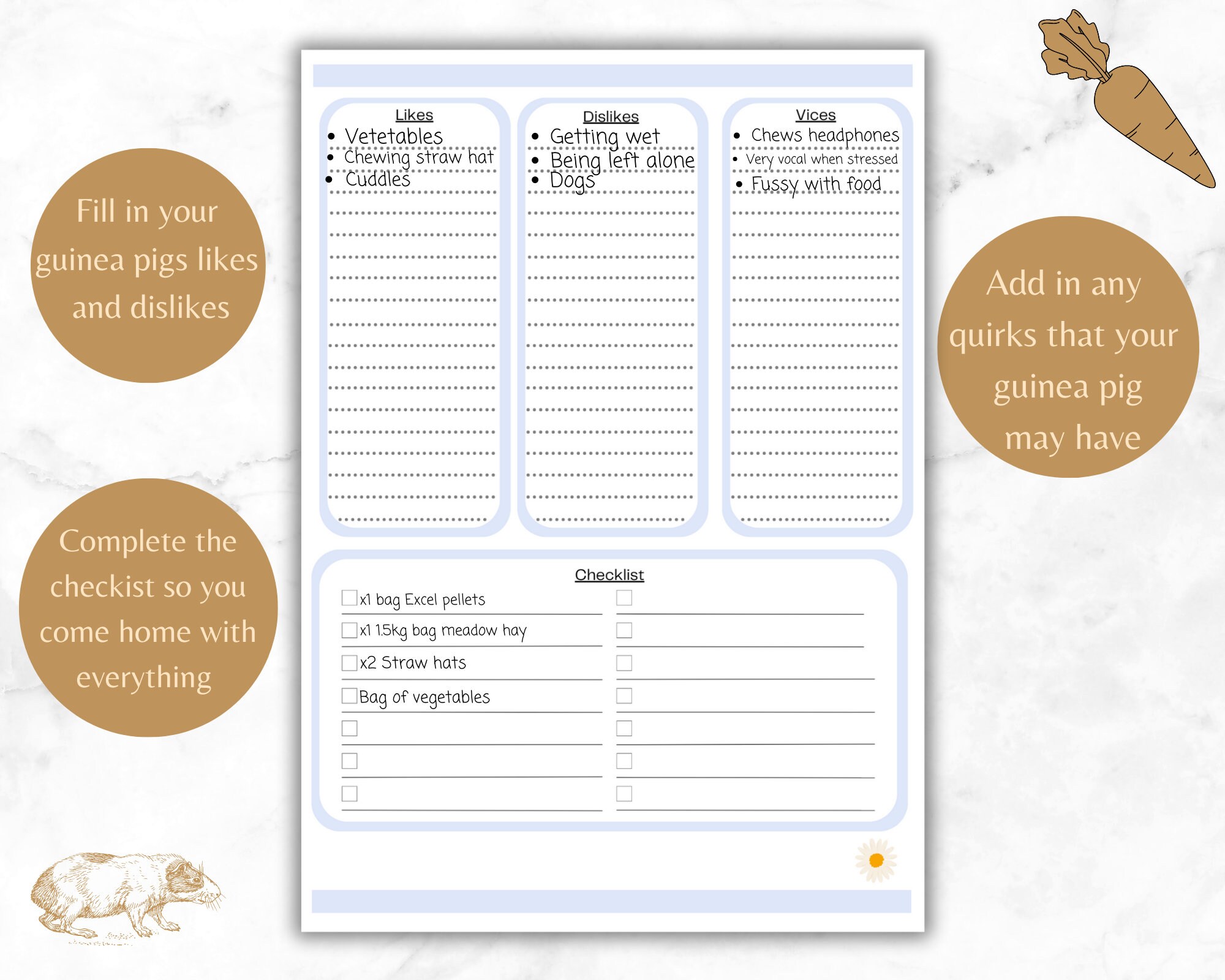 Guinea Pig Sitting| Boarding Log | Information Sheet/template | A4 ...