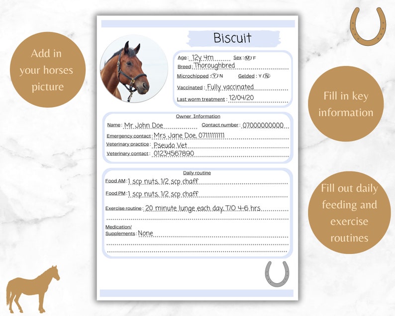 Horse Sitting Information Sheet Printable Equine Boarding Log Pony A4