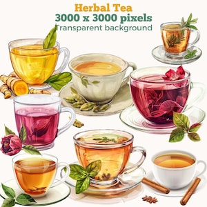 Imágenes prediseñadas de té de hierbas, ilustraciones de imágenes prediseñadas de té saludable, gráficos de bienestar, medicina herbal, té de cúrcuma, canela, roselle, menta y romero PNG
