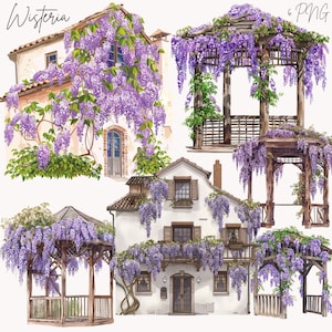 Wisteria Clipart, Ilustraciones PNG de Purple Wisteria Flowers Clipart, Wisteria en casas, Wisteria en Gazebo, Scrapbooking, Fabricación de tarjetas