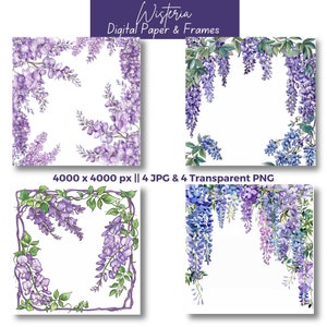 Könnte beinhalten: Vier digitale Papier- und Rahmen-Designs mit einem violetten Glyzinienblumenrand. Die Designs sind 4000 x 4000 Pixel groß und in den Formaten JPG und PNG verfügbar.