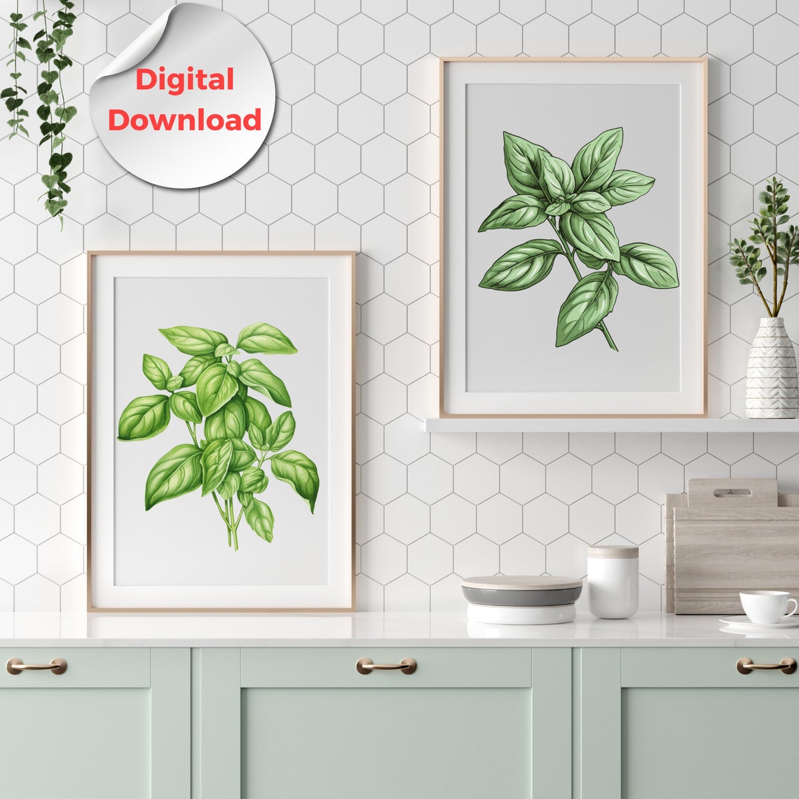Basil Clipart, Culinary Herbs Clipart, Botanical Kitchen Garden PNG SVG ...