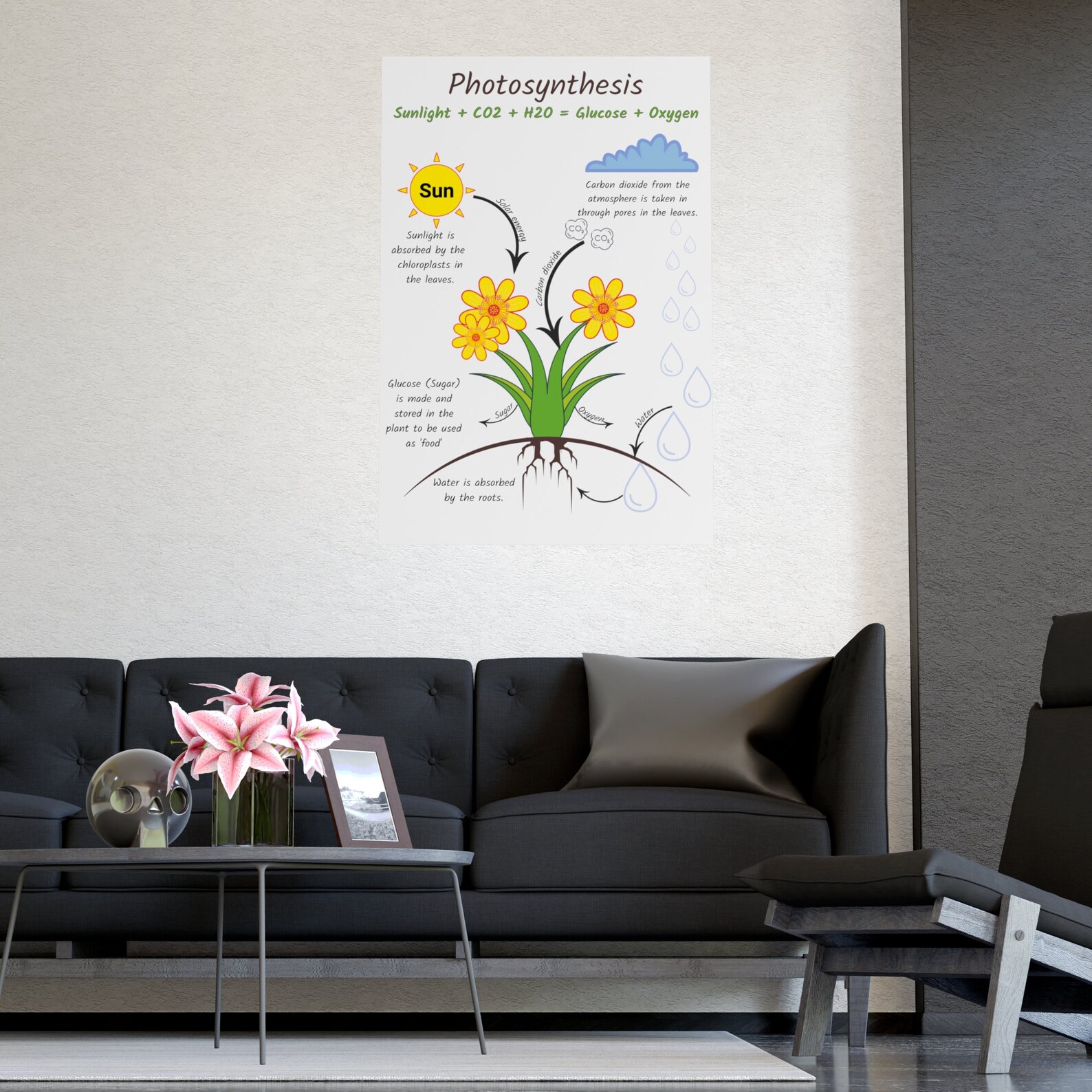 Photosynthesis Poster, Science Teacher, Biology Classroom Anchor Chart ...