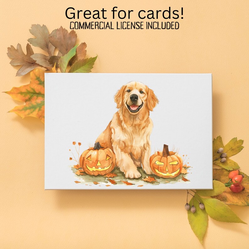 Halloween Dogs PNG Clipart, Cute Dogs With Witch Hats and Jack O ...