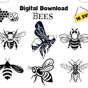 Bee clipart zwart-wit, bee SVG silhouet overzicht, honingbij, bijenkorf, bestand knippen, digitale download, commercieel gebruik