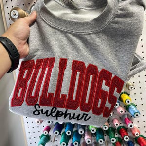Sudadera o camiseta de manga corta de color cómodo con bordado de apliques brillantes y mascota escolar personalizada