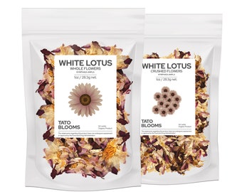 Organic White Lotus Premium Flowers Nymphaea Ampla Whole or Crushed