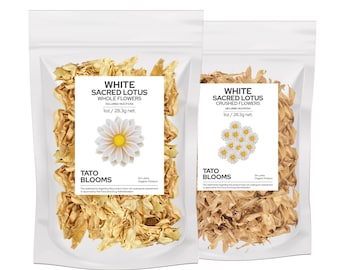 Organic White Sacred Lotus Premium Flowers Nelumbo Nucifera Whole or Crushed