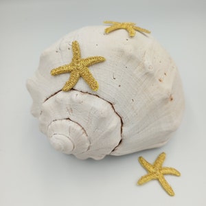 May include: A white seashell with three gold glitter starfish on a white background.