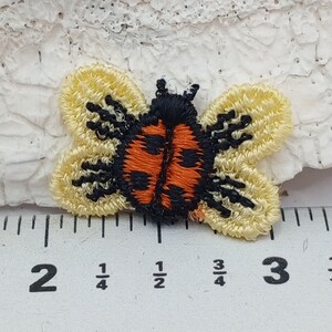 Może przedstawiać: Mała haftowana łatka przedstawiająca biedronkę z czarnymi i pomarańczowymi skrzydłami. Biedronka ma około 1,2 cm szerokości i znajduje się na białym tle.
