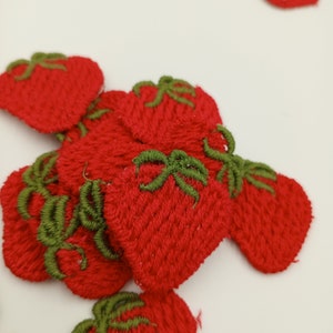 Berrylicious fragole VINTAGE applique toppe da cucito toppe ricamate fragole da giardino motivo da cucire per progetto decorativo fai da te #360