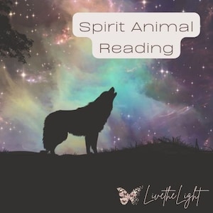 Light-based Spirit Animal Reading, Spirit Guide, Animal Guide, Animal Allies, Omens, Animal Wisdom, Animal Protectors, Same-Day Reading