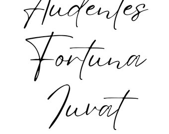 Audentes Fortuna Iuvat - Downloadable Digital Art (8x10 - larger sizes available)