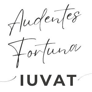 Audentes Fortuna Iuvat - White glossy mug