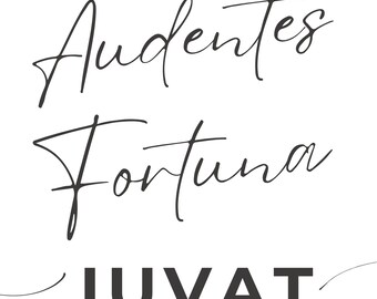 Audentes Fortuna Iuvat - White glossy mug