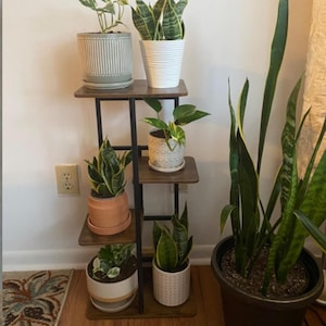 May include: A black metal plant stand with four wooden shelves, displaying various potted plants, including snake plants, a peace lily, and a succulent. The stand is against a white wall with a light switch.