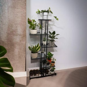 May include: A black metal plant stand with multiple shelves, each holding potted plants of various sizes and types. The plants include snake plants, ferns, and other greenery. The stand is positioned against a white wall.