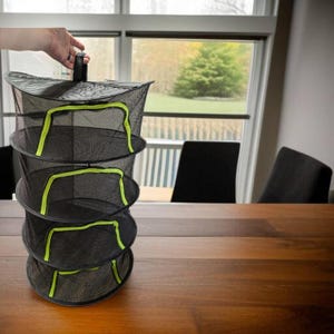May include: A black mesh herb drying rack with four tiers and bright green trim. The rack is held by a black handle. The background shows a window and a wooden table.
