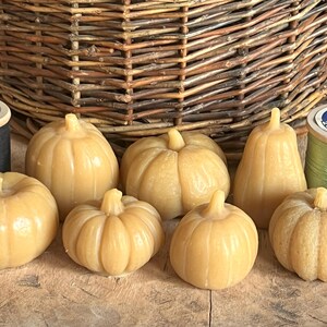 Peut inclure: Plusieurs petites bougies en forme de citrouille jaune clair. Les bougies ont des surfaces nervurées et des tiges. Deux bobines de fil, une noire et une verte, sont de chaque côté des bougies. Un panier en osier est en arrière-plan.