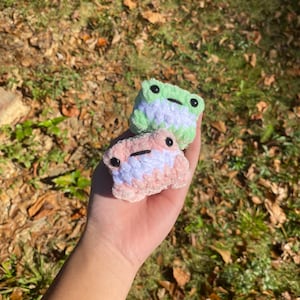 Mini Reversible Frog Crochet Kit, Beginner Crochet Kit, Christmas Gift,  Cheap Gifts, Crochet Plushie, Crochet Frog, Stocking Filler 