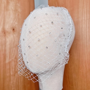 Sparkling Birdcage Veil, Civil Wedding Veil, Birdcage Veil With Headband, Simply Birdcage Veil