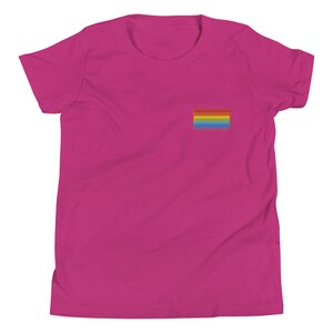 Kids Pride Shirt, Rainbow Youth Short Sleeve T-Shirt, Variety of Colors, Embroidered Rainbow t-shirt.
