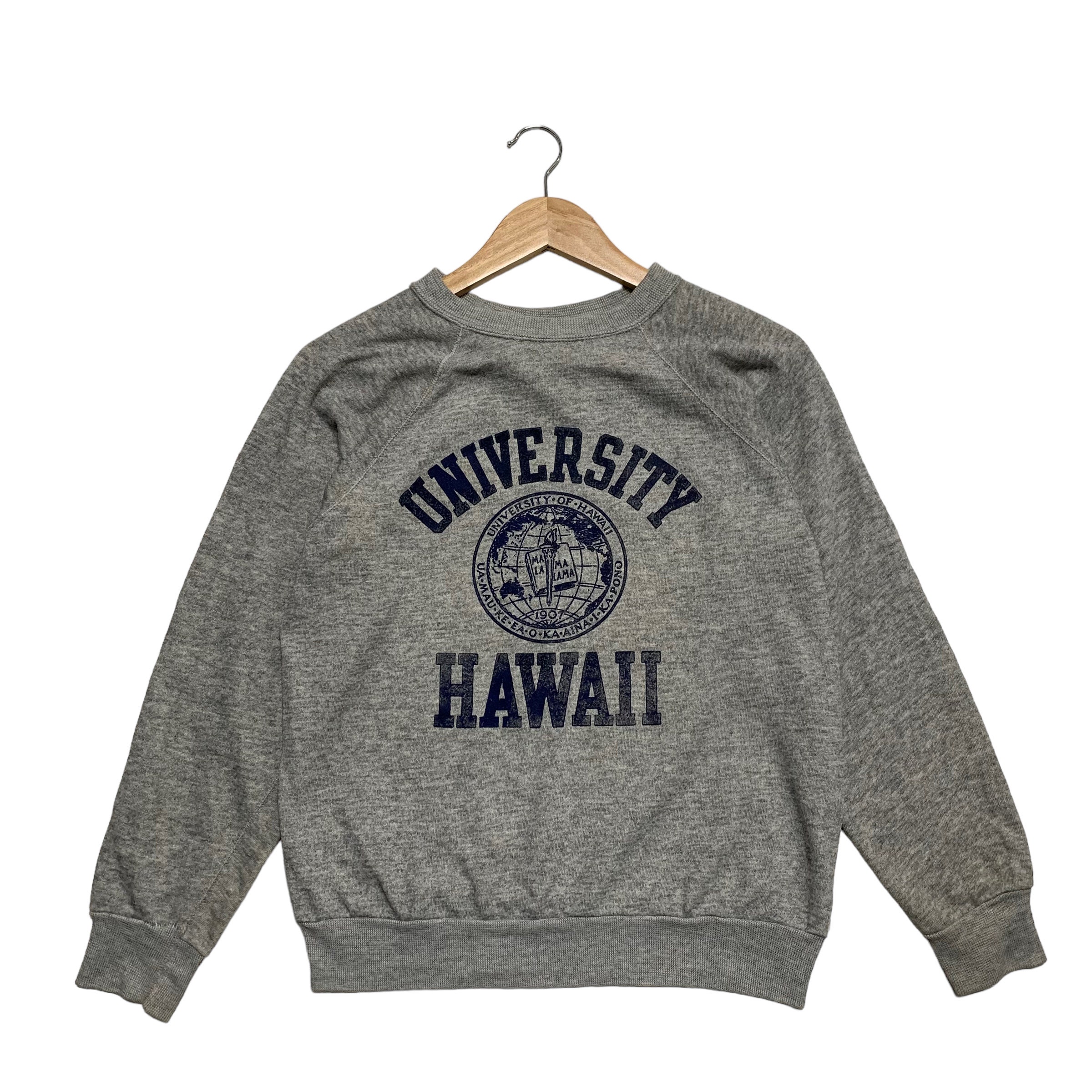 Hawaii Champion Sweatshirt - Etsy