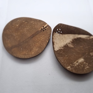 small coconut shell