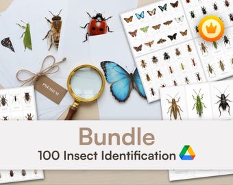 100 Láminas de Identificación de Insectos Imprimibles Pack de Estudio de Biología y Entomología Digital Download