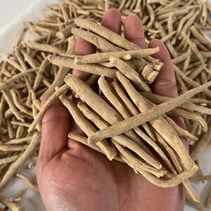 May include: A handful of dried, light brown ashwagandha roots. The roots are cylindrical, with a rough texture and varying lengths. The background is filled with more of the same roots, creating a natural, earthy aesthetic.