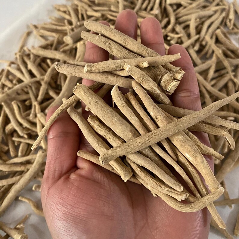 May include: A handful of dried, light brown ashwagandha roots. The roots are cylindrical, with a rough texture and varying lengths. The background is filled with more of the same roots, creating a natural, earthy aesthetic.