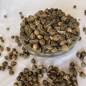 4KG-8.8lbs Moringa Oleifera Seeds, Raw Moringa, 100% Natural, GMO Free, Sustainable Packaging, High Quality Seeds