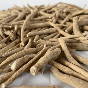 May include: A close-up shot of a pile of dried, beige-colored ashwagandha roots. The roots are long, cylindrical, and have a rough texture. They are arranged in a haphazard manner, with some roots overlapping others. The background is a plain white surface.