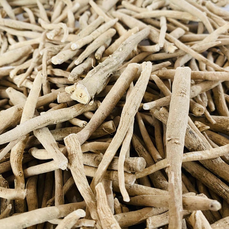 May include: A close-up shot of a pile of dried, beige-colored roots. The roots vary in size and shape, with some appearing thicker and more cylindrical, while others are thinner and more irregular. The texture appears rough and fibrous.