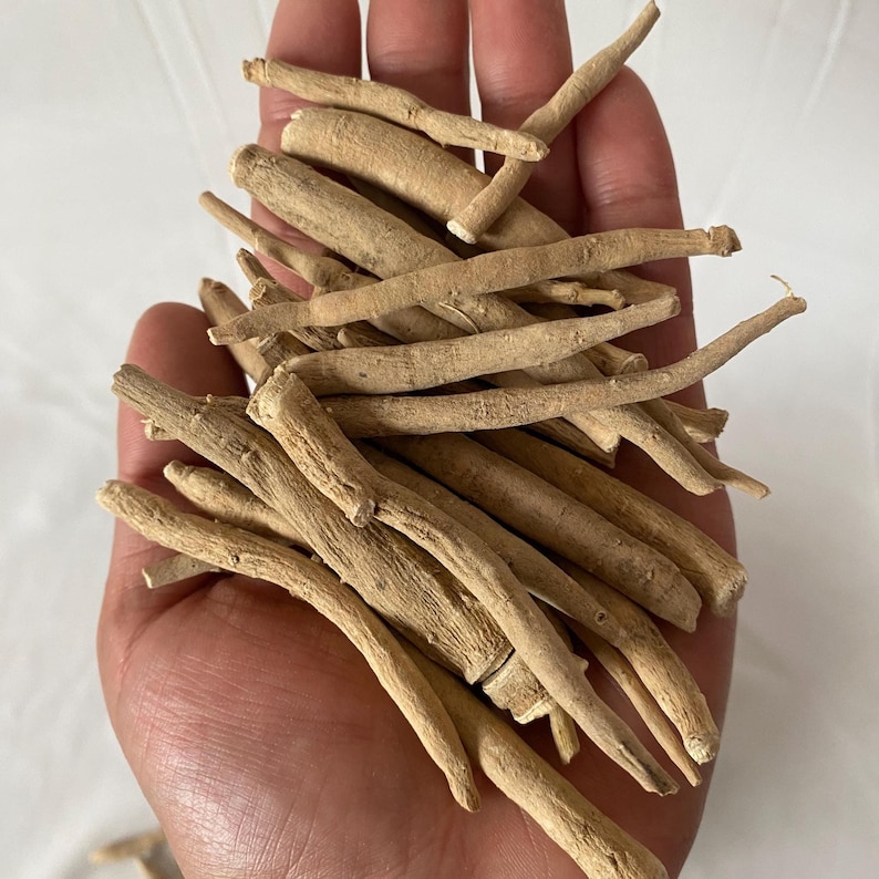 May include: A handful of dried, light brown ashwagandha roots. The roots are long, cylindrical, and have a rough texture. The image is taken from a slightly elevated angle, showing the roots in detail. The background is a plain white surface.