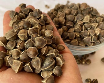 Natural Moringa Seeds, Quality, Non-GMO