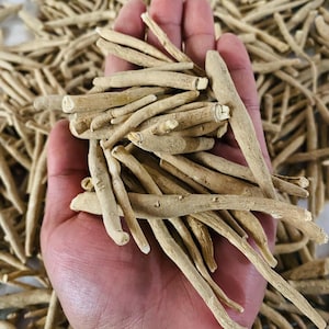 May include: A handful of dried, beige-colored Ashwagandha roots. The roots are cylindrical, with a rough texture and varying lengths. The background is filled with more of the same roots, creating a natural, earthy aesthetic. The image highlights the raw, unprocessed form of the herbal product.