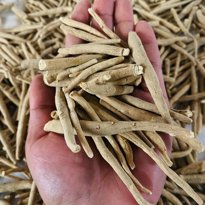 May include: A handful of dried, beige-colored Ashwagandha roots. The roots are cylindrical, with a rough texture and varying lengths. The background is filled with more of the same roots, creating a natural, earthy aesthetic. The image highlights the raw, unprocessed form of the herbal product.