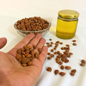 Op de afbeelding: Een glazen kom gevuld met bruine abrikozenpitten, een pot met heldere honing en een hand die een kleine stapel abrikozenpitten vasthoudt.