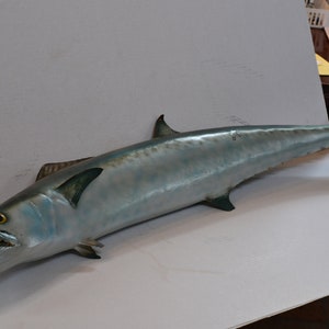 Barracuda Taxidermy Mount 