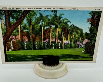 Huntington Library Pasadena California Palms Linen Postcard Vintage  Tichnor Art Company L.A.