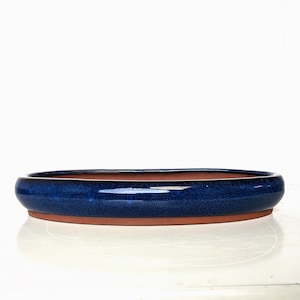 May include: A blue oval ceramic bonsai pot with a brown rim.