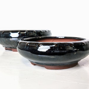 May include: Two dark green ceramic bonsai pots with a textured rim. The pots are round and have a glossy finish.