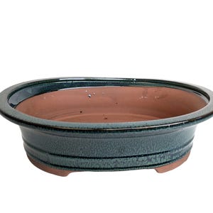 May include: A green glazed oval ceramic bonsai pot with a brown clay interior. The pot has a textured surface and a slightly flared rim.