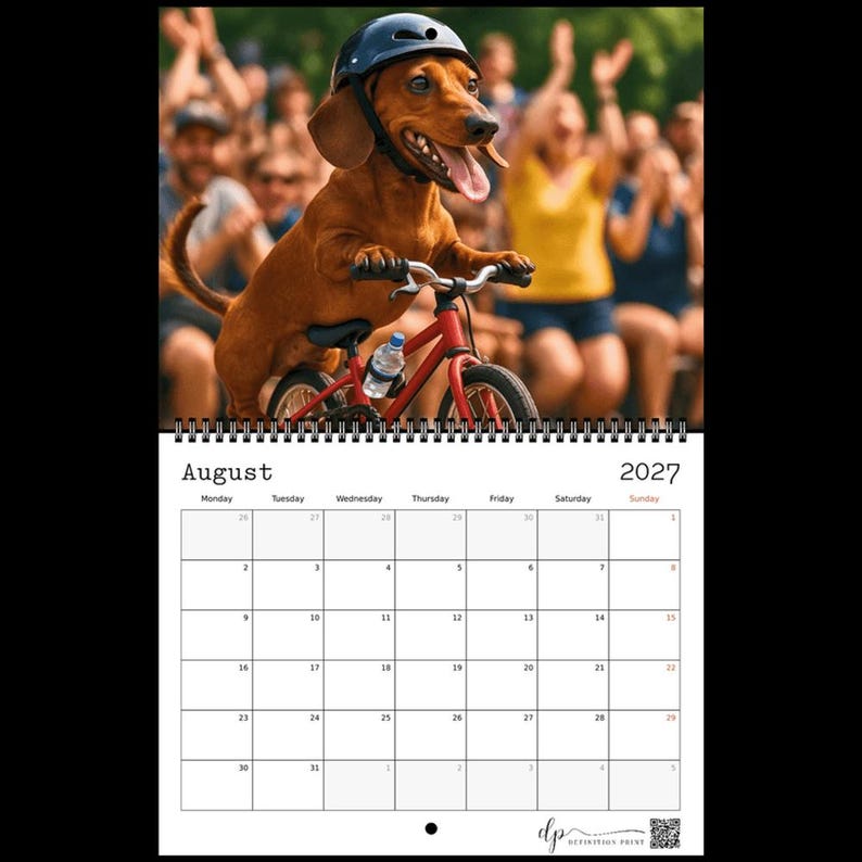 May include: A wall calendar for August 2027 featuring a brown dachshund wearing a black helmet while riding a red bicycle. The calendar grid displays the month, year, and days of the week clearly. The design includes a small logo and QR code.