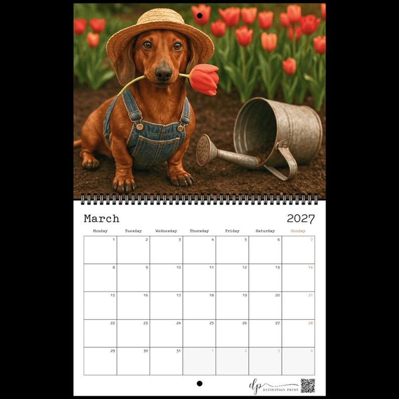 May include: A 2027 wall calendar for March featuring a brown dachshund wearing a straw hat and blue denim overalls, holding a red tulip in its mouth. Next to the dog is a metal watering can. The calendar grid shows the month and year clearly.