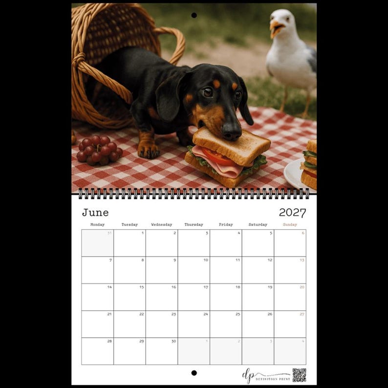 May include: A 2027 wall calendar for the month of June featuring a photograph of a black and tan dachshund emerging from a wicker basket while holding a sandwich in its mouth, with a seagull nearby on a red and white checkered picnic blanket.