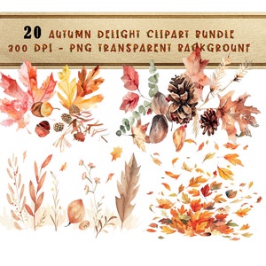 Lot de cliparts aquarelle pomme de pin et feuille d'automne avec glands d'art botanique PNG