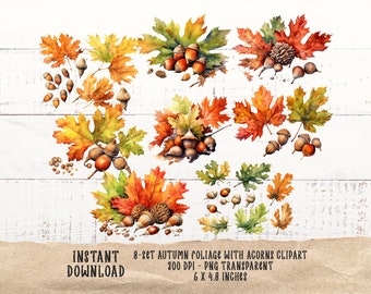 Watercolor Autumn Maple and Oak Leaves Clipart with Acorns in PNG Format