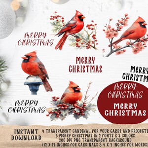 Cardinal rouge festif aquarelle PNG : art de la carte de Noël, loisirs créatifs et clipart de décoration saisonnière